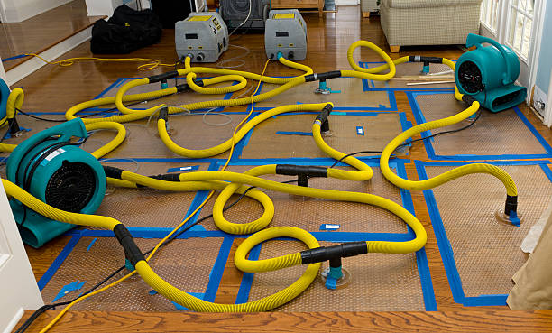 Professional Basement Flood Cleanup technician working in South Thomaston, ME